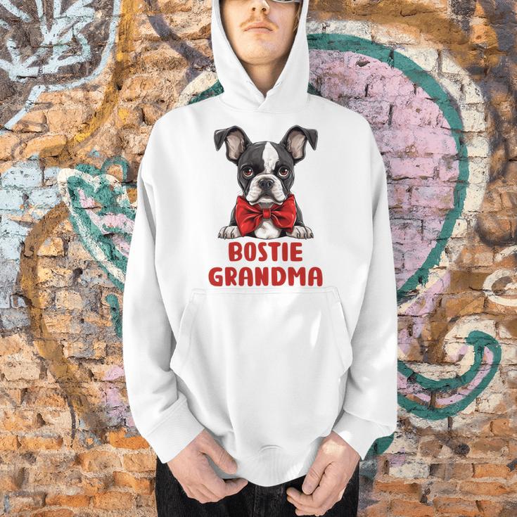 Boston Terrier Grandma Dog Lovers Puppy Bostie Owner Men Hoodie, gift for family, gift for coworker