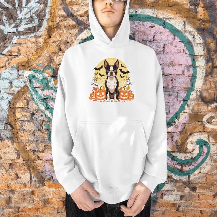 Boston Terrier Halloween Dog Lover Pumpkin Costume Men Hoodie, Boston Terrier Halloween Hoodies, gift for family, gift for coworker