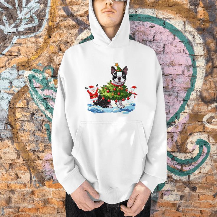 Boston Terrier Merry Christmas Tree Lights Dog X-Mas Dogs Men Hoodie, Boston Terrier Christmas Hoodies, gift for family, gift for coworker