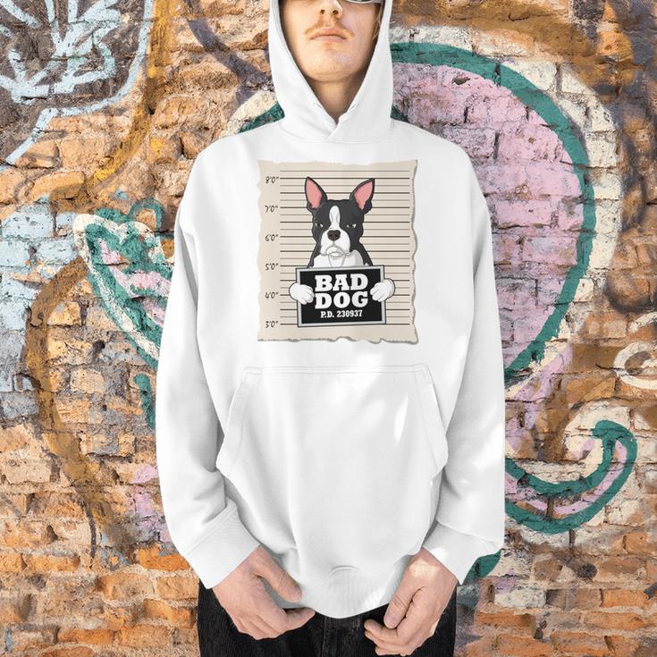 Boston Terrier Mug Shot Guilty Dog Men Hoodie, gift for family, gift for coworker