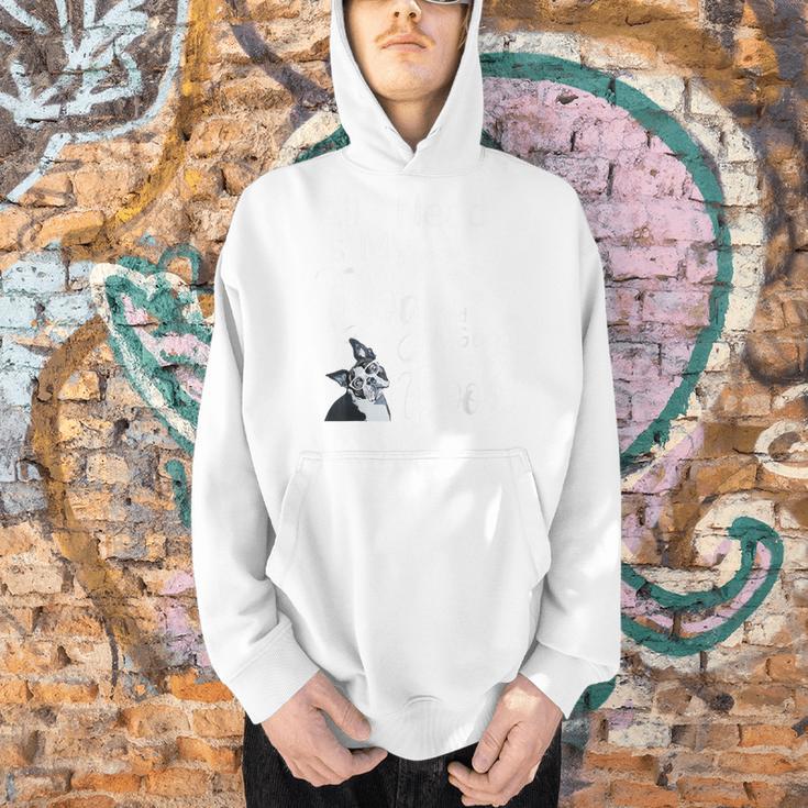 Boston Terrier Reading Books Love My Dog Men Women Kids T-Shirt Men Hoodie, gift for family, gift for coworker