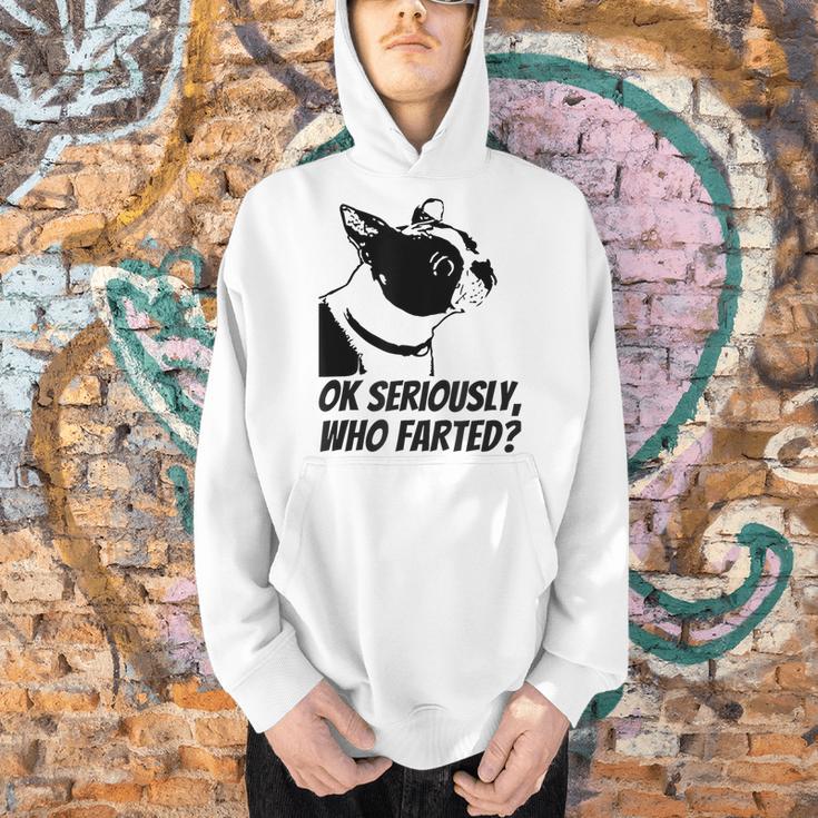 Boston Terrier Shirt Ok Seriously Who Farted Men Hoodie, gift for family, gift for coworker