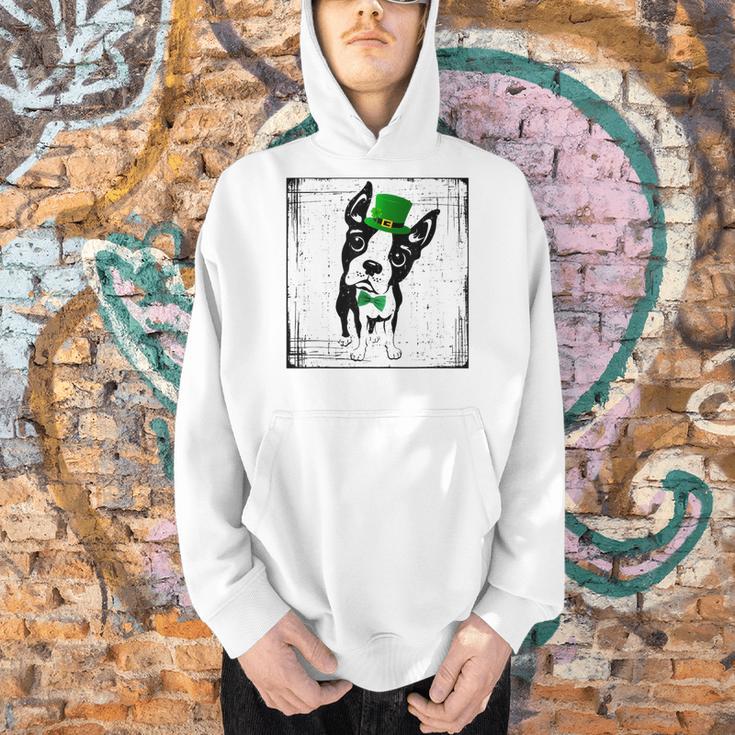 Cool Saint Patrick's Boston Terrier T Shirt For Dogs Lovers Men Hoodie, gift for family, gift for coworker