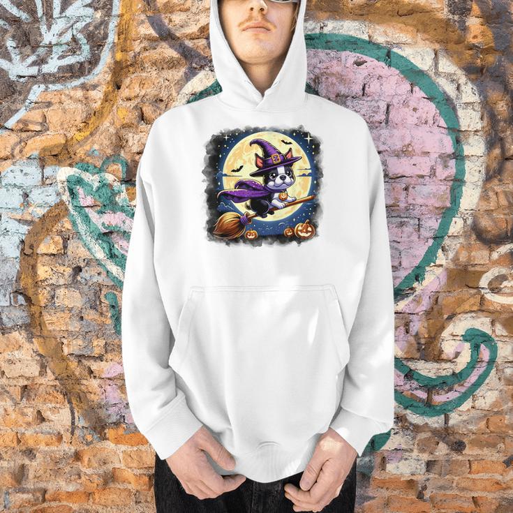 Cute Boston Terrier Halloween Costume Dog Lover Women Girls Men Hoodie, Boston Terrier Halloween Hoodies, gift for family, gift for coworker