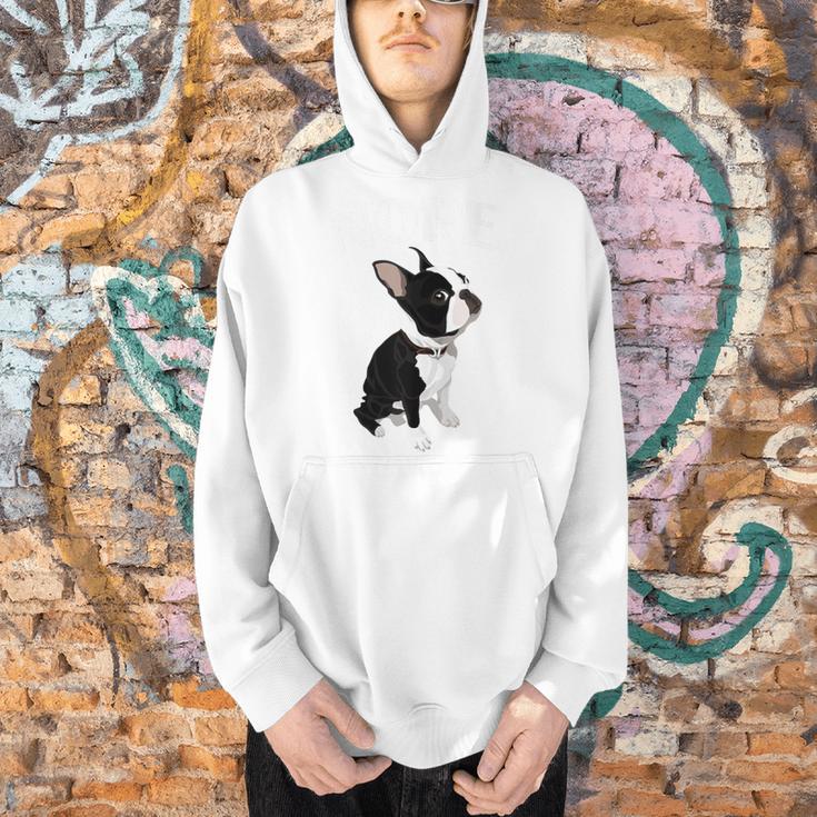 Love NOPE Boston Terrier Dog Lover Men Hoodie, gift for family, gift for coworker
