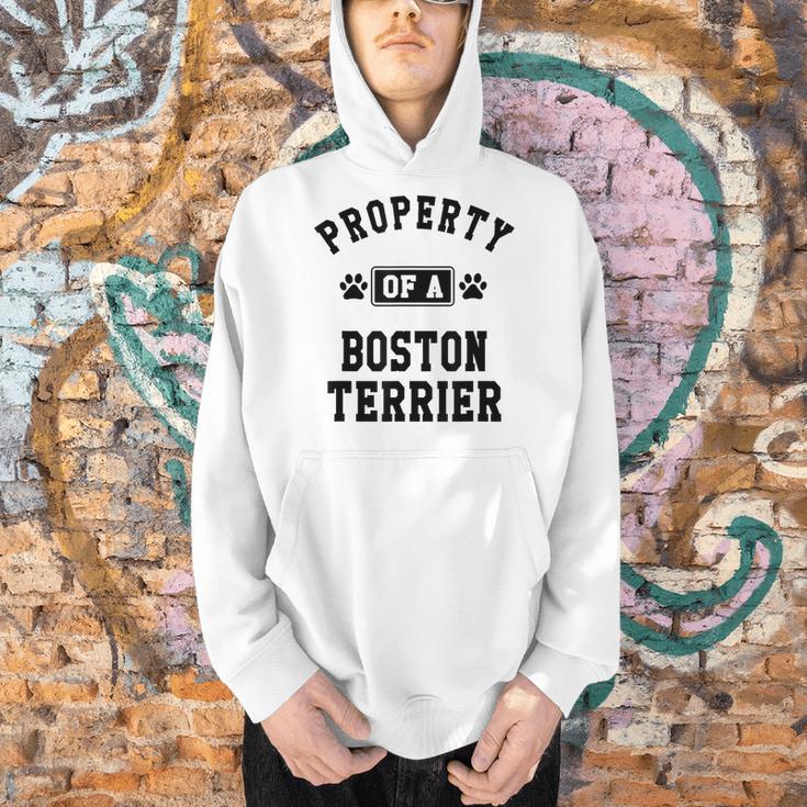 Property Of Boston Terrier Boston Terrier Shirt Men Hoodie, gift for family, gift for coworker