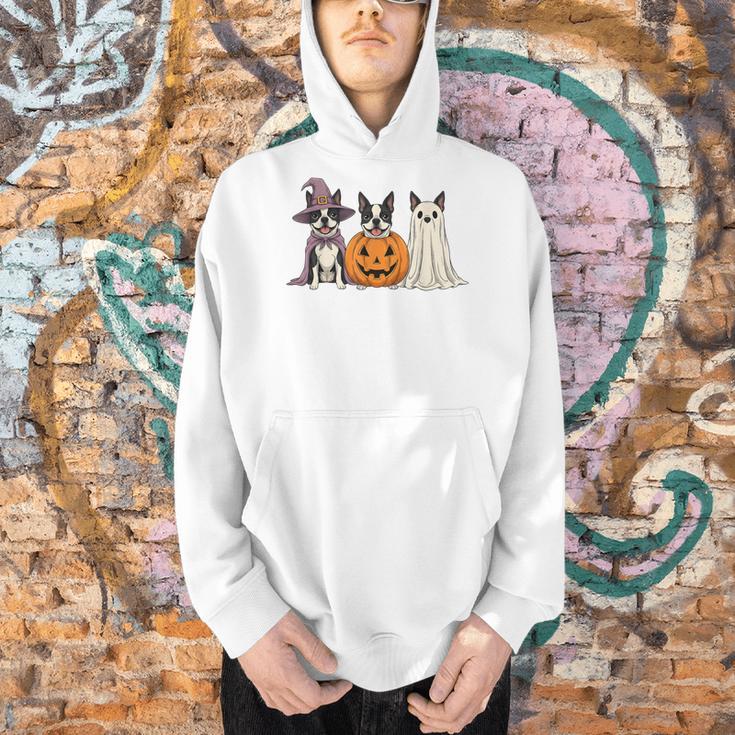 Spooky Ghost Boston Terrier Pumpkin Halloween Dog Lover Men Hoodie, Boston Terrier Ghost Hoodies, Boston Terrier Halloween Hoodies, gift for family, gift for coworker