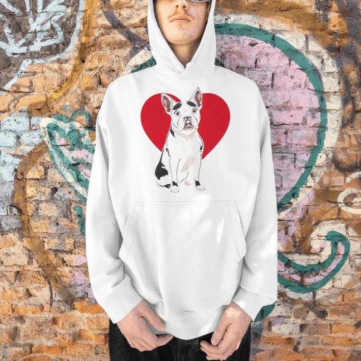 Valentine's Day Boston Terrier Lover Men Hoodie, gift for family, gift for coworker
