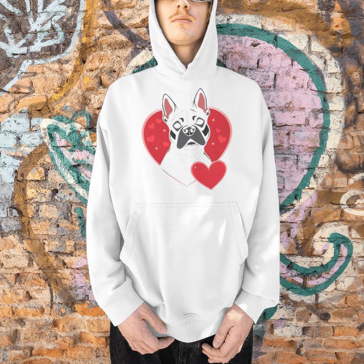 Valentine's Day Boston Terrier Men Hoodie, gift for family, gift for coworker