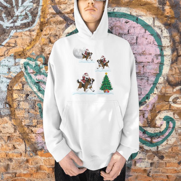 Xmas Lighting Tree Santa Riding Boston Terrier Christmas Men Hoodie, Boston Terrier Riding Hoodies, Boston Terrier Christmas Hoodies, gift for family, gift for coworker