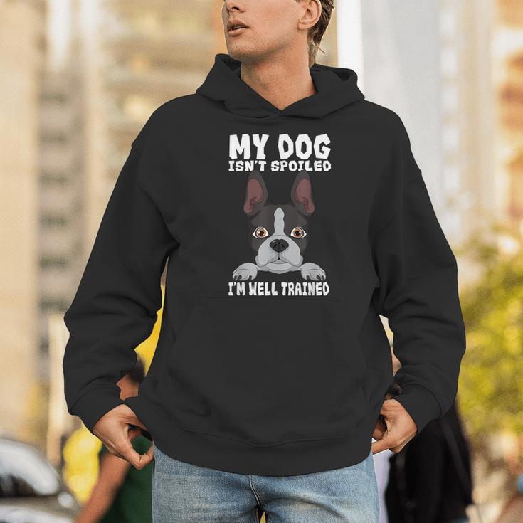 Boston Terrier American Gentleman Dog Lover I'm Well Trained Men Hoodie, American Boston Terrier Hoodies, funny gift