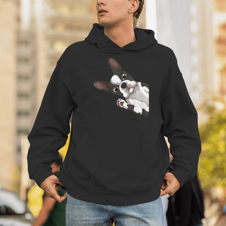 Boston Terrier Bostie Dog Kids Boys Girls Men Hoodie, funny gift