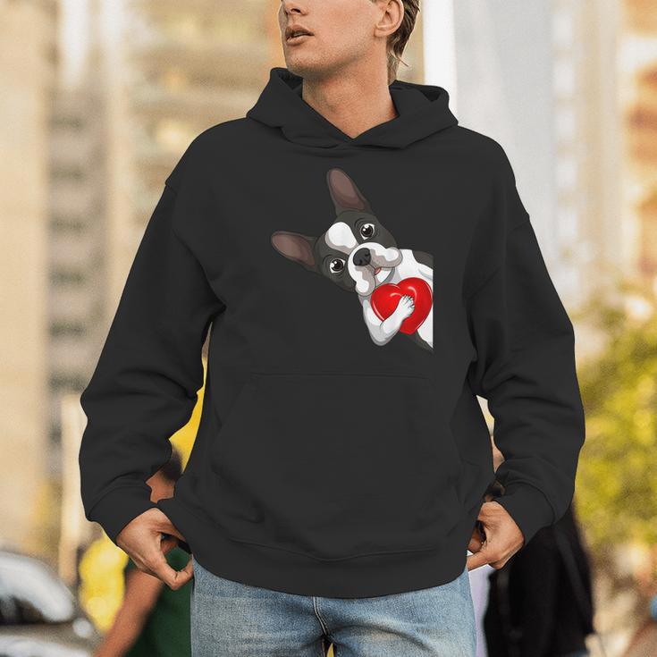 Boston Terrier Bostie Dog Kids Women Girls Men Hoodie, funny gift