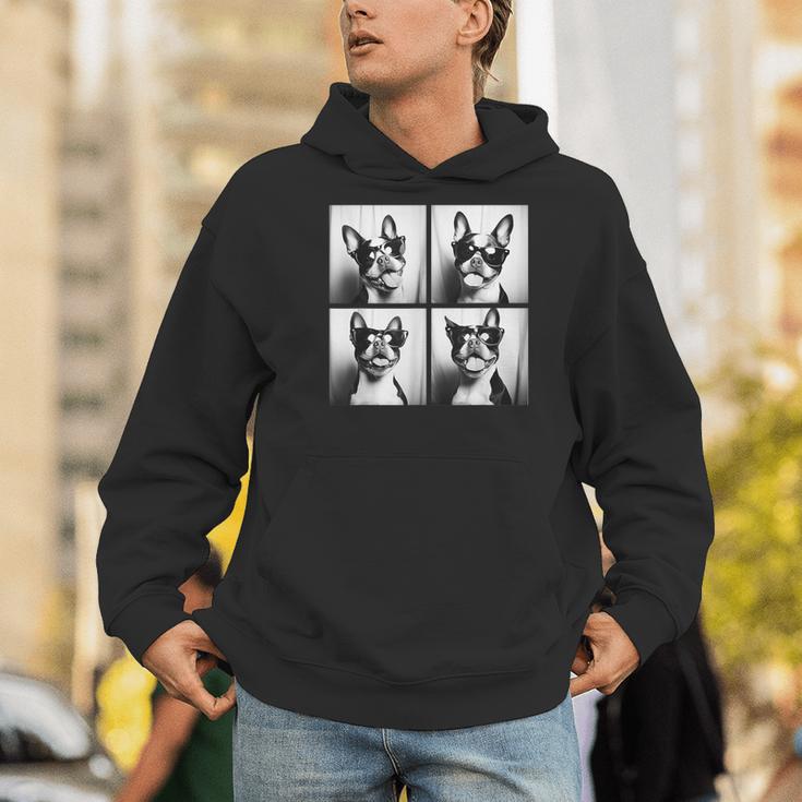 Boston Terrier Dogs With Sunglasses Photo Pets Meme Men Hoodie, funny gift