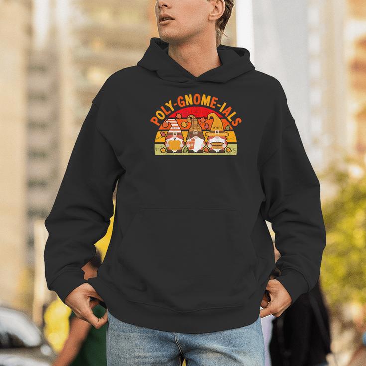 Fun Polynomial Calculus Algebra Poly-Gnome-Ials Math Teacher Men Hoodie, funny gift
