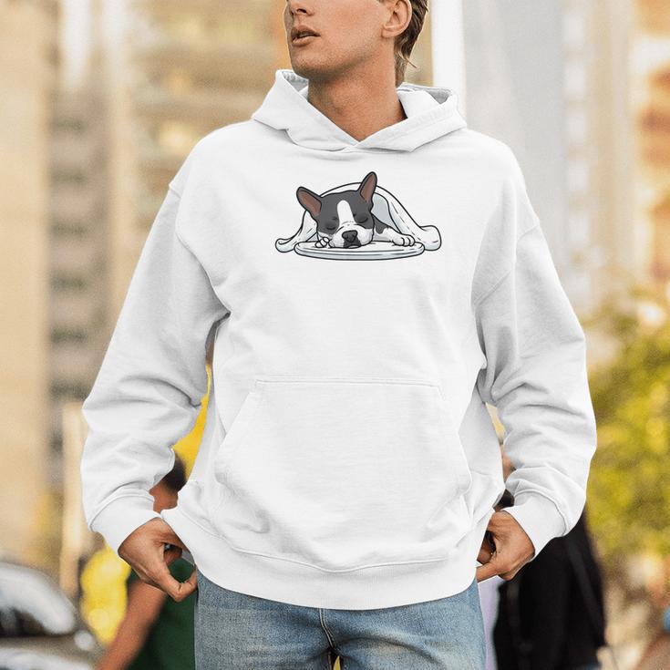 Boston Terrier Dog Official Sleeping Men Women Girls Kids Men Hoodie, funny gift