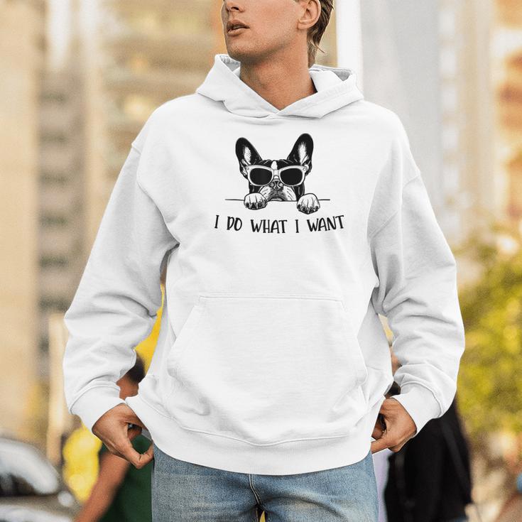 Boston Terrier Dog Owner I Do What I Want Pet Men Hoodie, funny gift