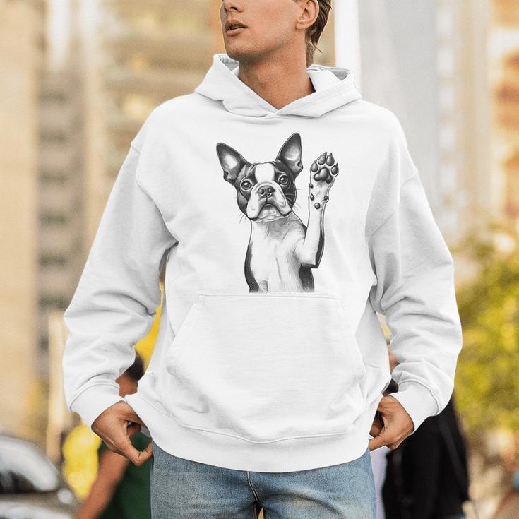 Boston Terrier Dog Raising Paw Idea Men Women Men Hoodie, funny gift