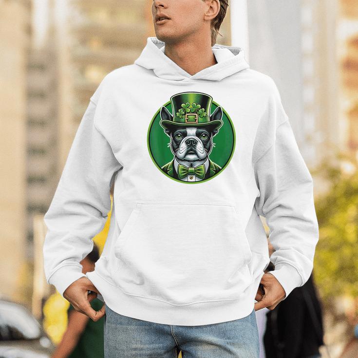 Boston Terrier Dog St Patricks Day Irish Pet Lover Men Women Kids Men Hoodie, funny gift