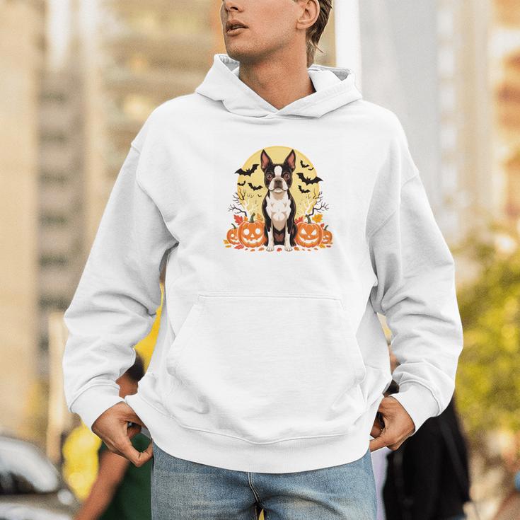 Boston Terrier Halloween Dog Lover Pumpkin Costume Men Hoodie, Boston Terrier Halloween Hoodies, funny gift
