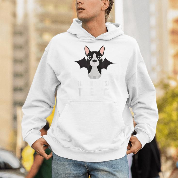 Boston Terrier Halloween Shirt Did Someone Say Treat Men Hoodie, Boston Terrier Halloween Hoodies, funny gift