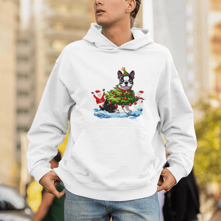 Boston Terrier Merry Christmas Tree Lights Dog X-Mas Dogs Men Hoodie, Boston Terrier Christmas Hoodies, funny gift
