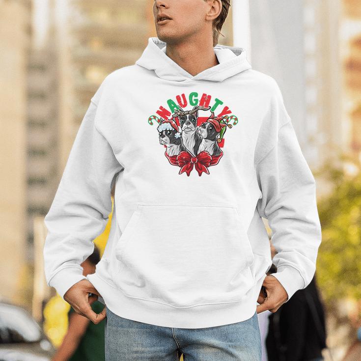 Boston Terrier Santa Claus Elf Reindeer Christmas Dog X-Mas Men Hoodie, Boston Terrier Christmas Hoodies, funny gift