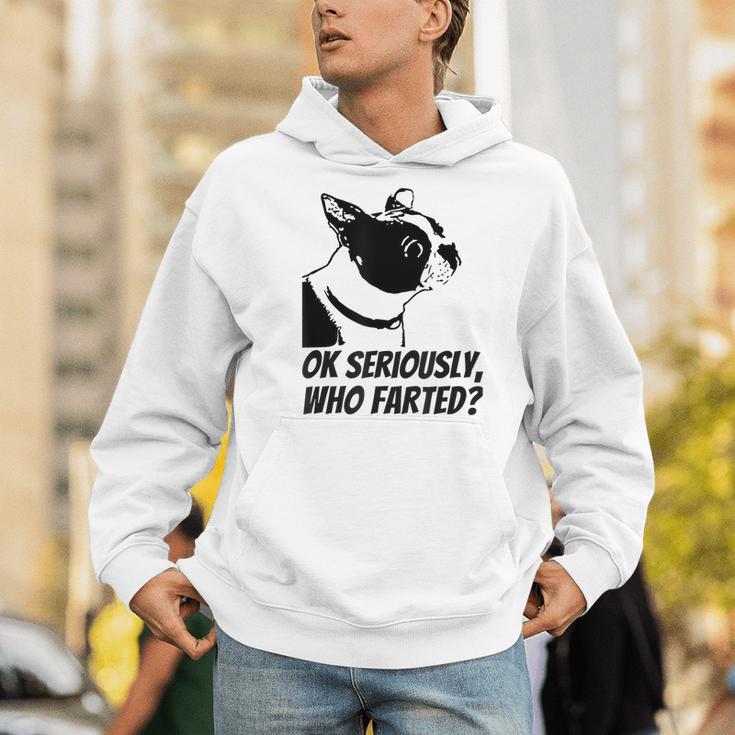 Boston Terrier Shirt Ok Seriously Who Farted Men Hoodie, funny gift