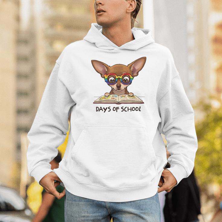 Chihuahua 100 Days Of School Rainbow Glasses Teacher Men Hoodie, funny gift