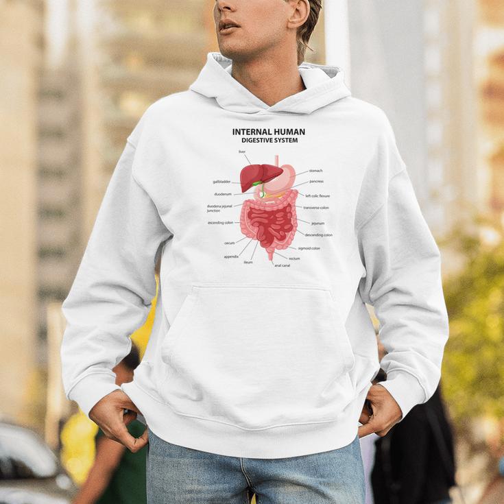 Digestive System Anatomy Anatomical Biology Teacher Men Women Men Hoodie, funny gift