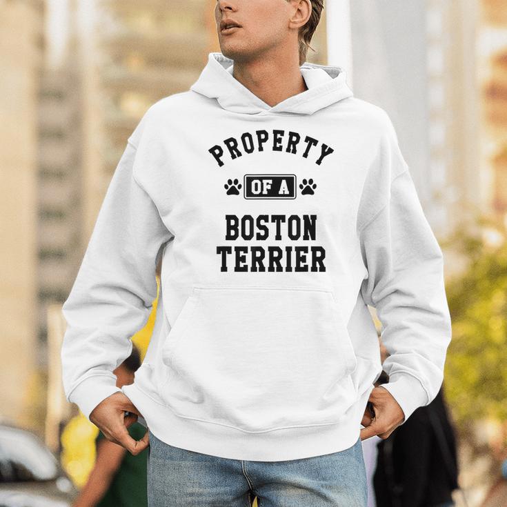 Property Of Boston Terrier Boston Terrier Shirt Men Hoodie, funny gift