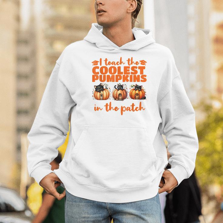 I Teach The Cutest Pumpkins Halloween Teacher Cat Lover Men Hoodie, funny gift I Teach The Cutest Pumpkins Halloween Teacher Cat Lover Men Hoodie, funny gift