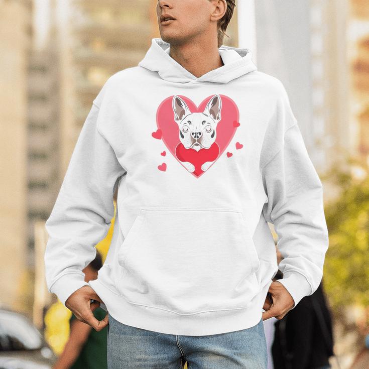 Valentine's Day Boston Terrier Heart Men Hoodie, funny gift