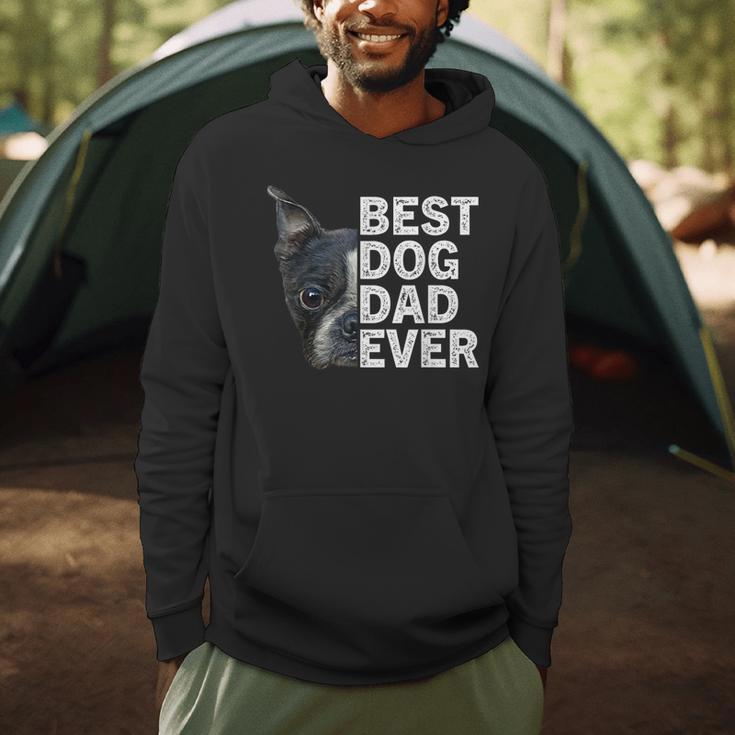 Best Dog Dad Ever Boston Terrier Dog Lover For Dad Men Women Girls Kids Men Hoodie, novelty gifts, funny gifts