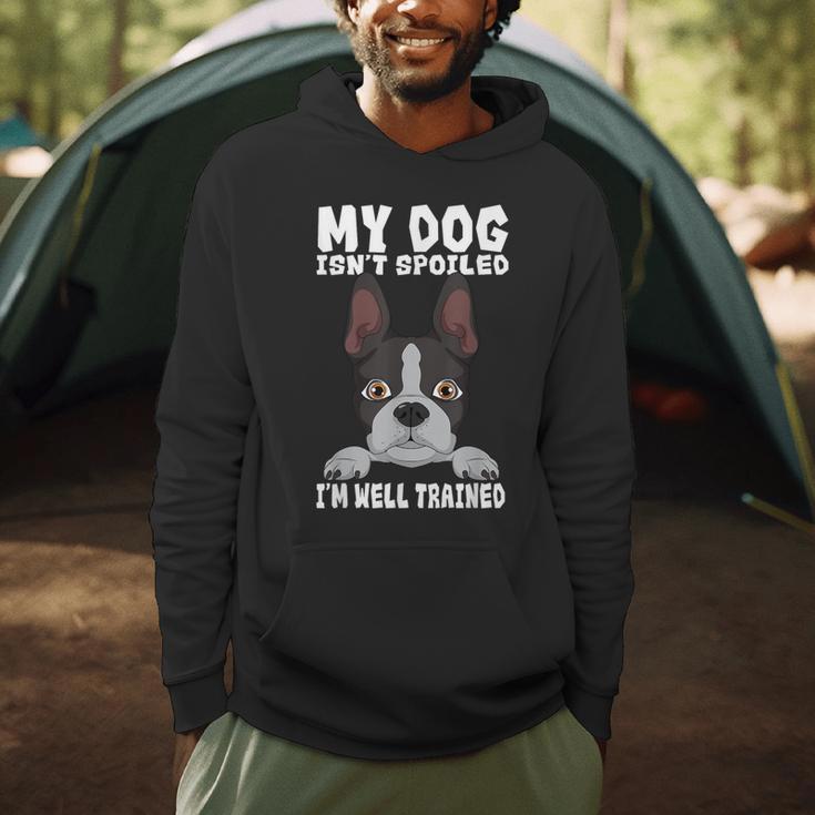 Boston Terrier American Gentleman Dog Lover I'm Well Trained Men Hoodie, novelty gifts, funny gifts