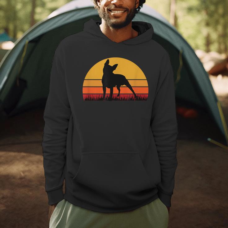 Boston Terrier Bostie Sunset Retro Dog Pet Mom Dad Men Hoodie, novelty gifts, funny gifts