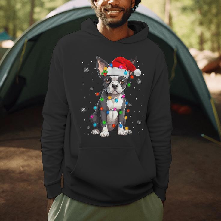 Boston Terrier Christmas Santa Hat Tree Lights Pajama Men Hoodie, novelty gifts, funny gifts