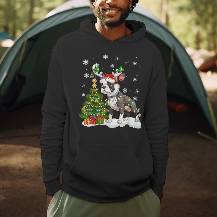 Boston Terrier Christmas Tree Lights Santa Hat Men Hoodie, novelty gifts, funny gifts