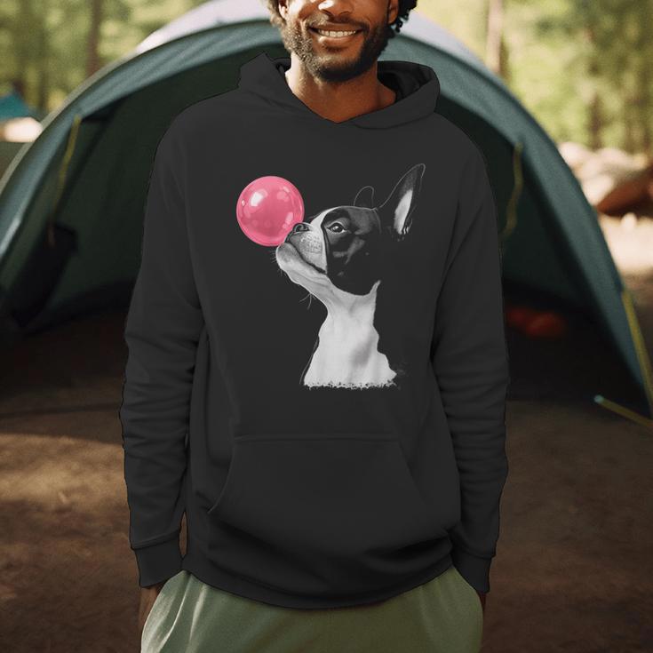 Boston Terrier Dog Blowing Chewing Bubble Gum Pink Men Hoodie, novelty gifts, funny gifts