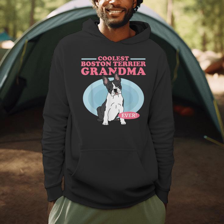 Boston Terrier Grandma Bostie Dog Owner Boston Terrier Men Women Men Hoodie, novelty gifts, funny gifts