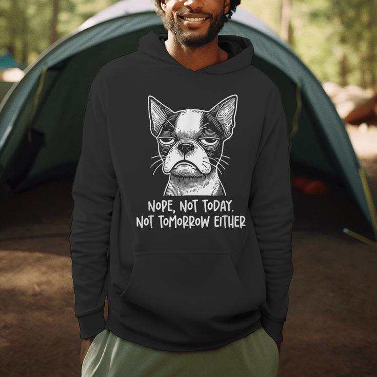 Boston Terrier Nope Not Today Not Tomorrow Either Sarcastic Men Hoodie, novelty gifts, funny gifts