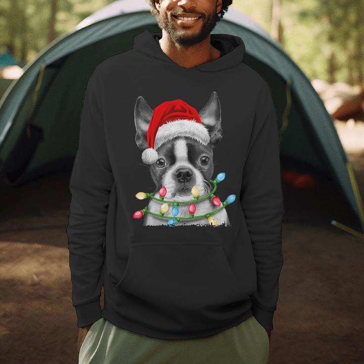 Boston Terrier Santa Christmas Tree Lights Xmas Boys Men Dog Men Hoodie, novelty gifts, funny gifts
