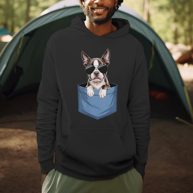 Cute Pocket Boston Terrier Lover Dog Mom Men Hoodie, novelty gifts, funny gifts
