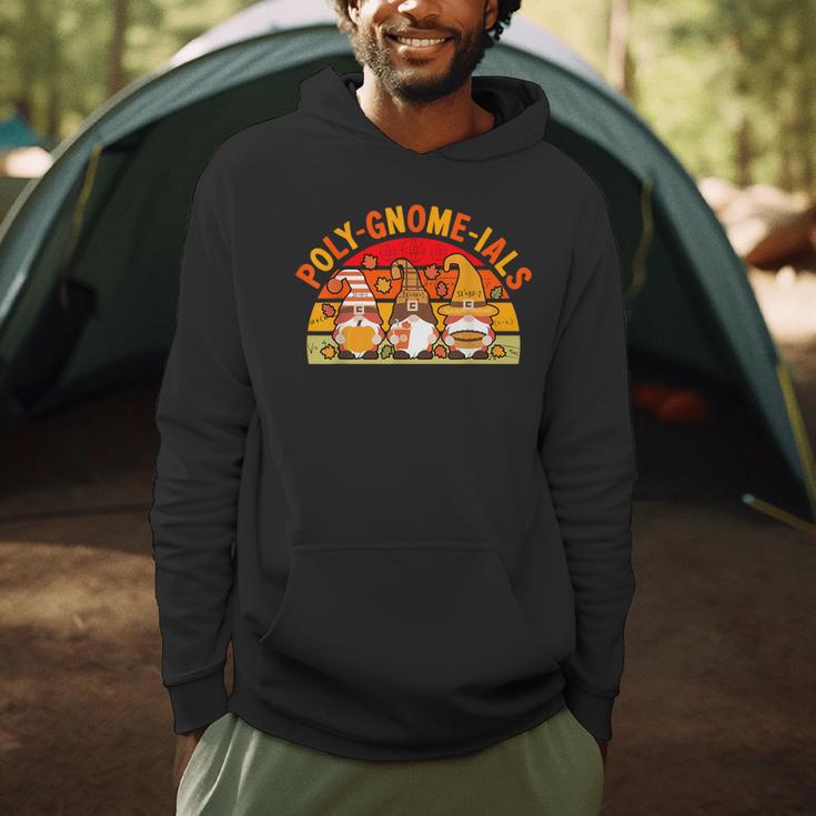 Fun Polynomial Calculus Algebra Poly-Gnome-Ials Math Teacher Men Hoodie, novelty gifts, funny gifts