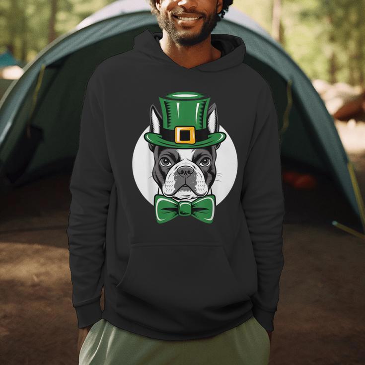 Green Boston Terrier Shamrock St Patricks Day Boston Terrier Men Hoodie, novelty gifts, funny gifts