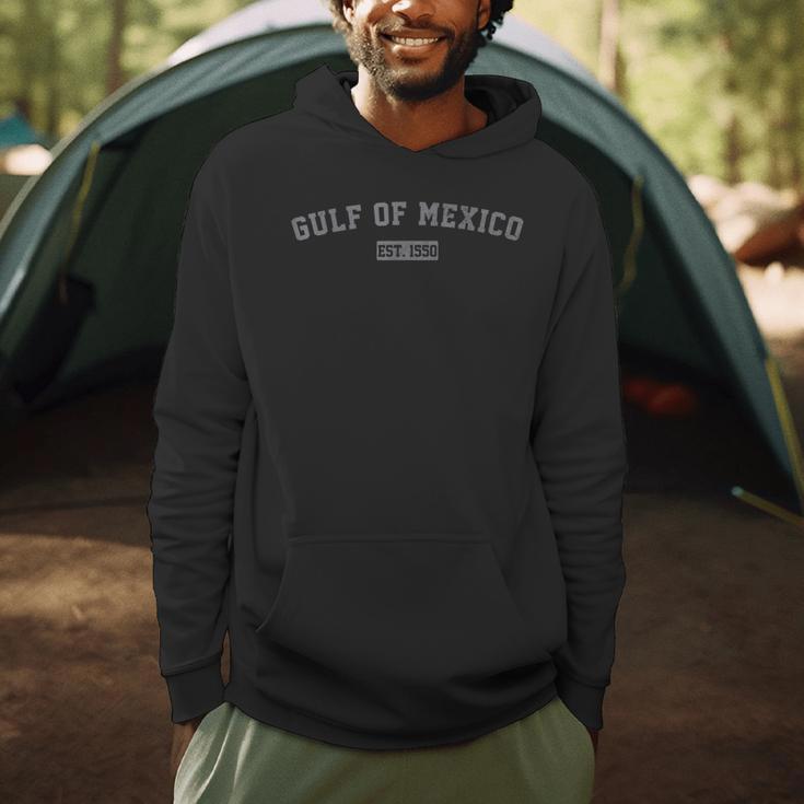 Gulf Of Mexico Est 1550 Retro Vintage For Women Men Teacher Men Hoodie, novelty gifts, funny gifts Gulf Of Mexico Est 1550 Retro Vintage For Women Men Teacher Men Hoodie, novelty gifts, funny gifts