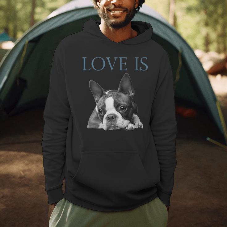 Love Is Boston Terrier Bostie Men Hoodie, novelty gifts, funny gifts