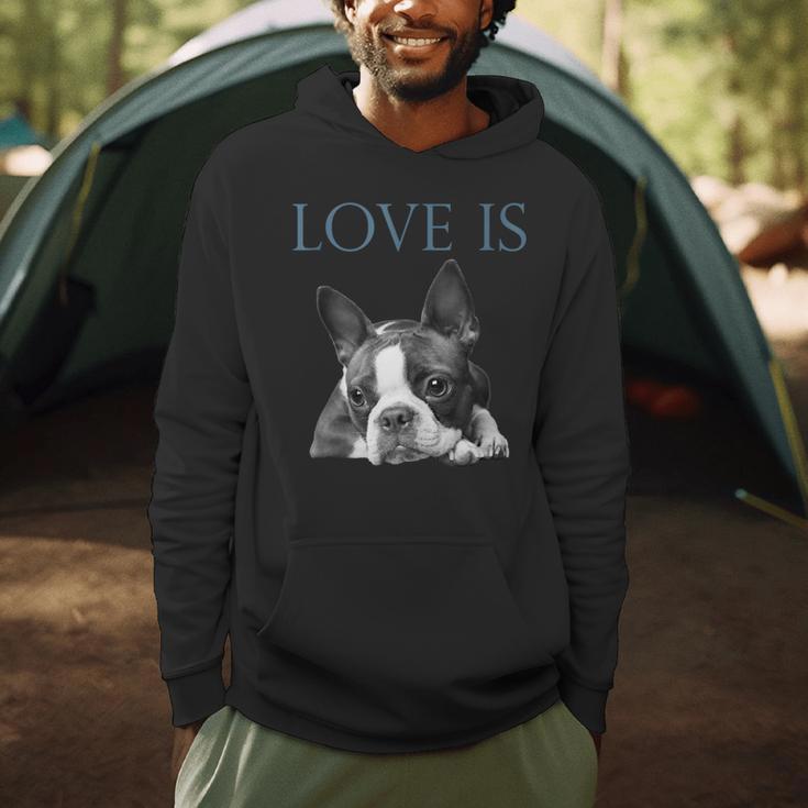 Love Is Boston Terrier Bostie Men Hoodie, novelty gifts, funny gifts