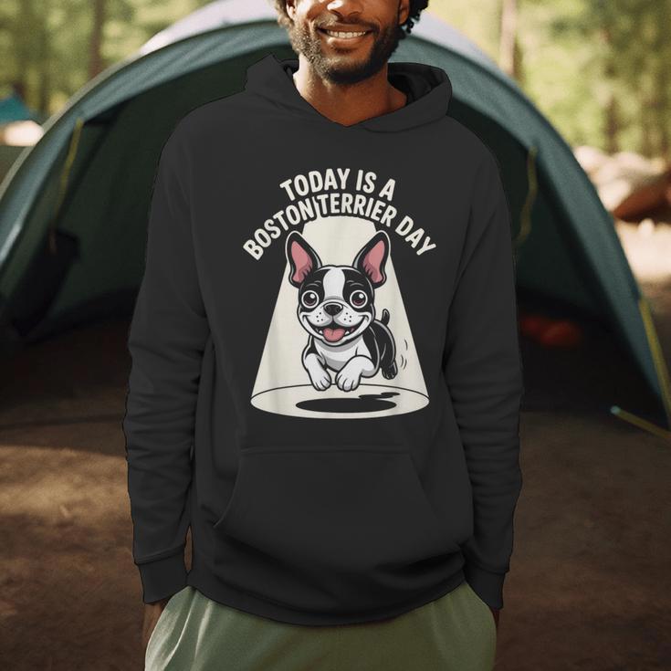 Today Is A Boston Terrier Day Cute Dog Lover Cartoon Men Hoodie, novelty gifts, funny gifts