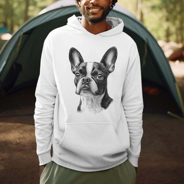Boston Terrier Dog Motif Pet Illustration Boston Terrier For Men Women Kids Men Hoodie, novelty gifts, funny gifts